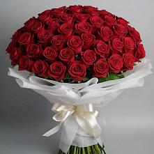 Букет 101 Красная роза Блэк Мэджик в Успенском