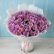 Букет цветов из:  Хризантемы в Успенском