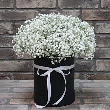 Цветочная композиция из Гипсофила в шляпной коробке в Успенском