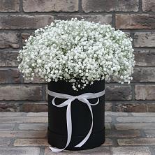 Цветочная композиция из Гипсофила в шляпной коробке в Успенском